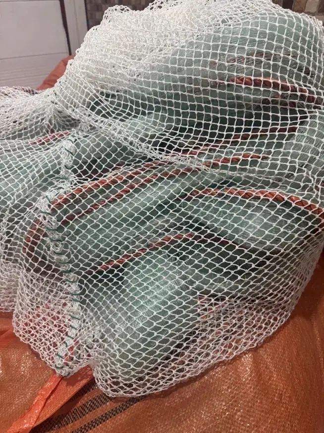 جل میگی نو نو|ماهیگیری|قشم, |دیوار