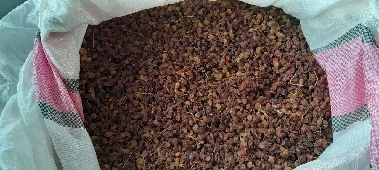 کشمش عسگری اعلا|خوردنی و آشامیدنی|شازند, |دیوار