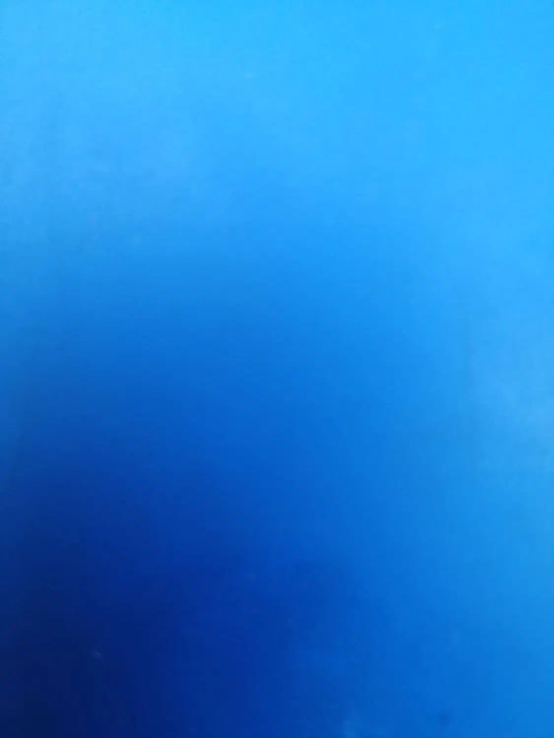 کاه|عمده‌فروشی|نوده انقلاب, |دیوار