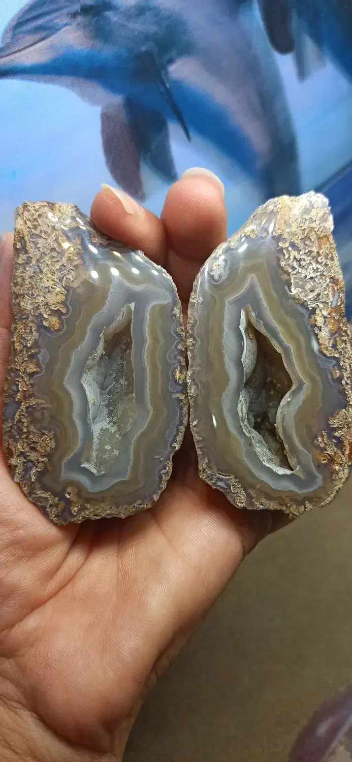 شجر کلکسیونی|جواهرات|سرایان, |دیوار