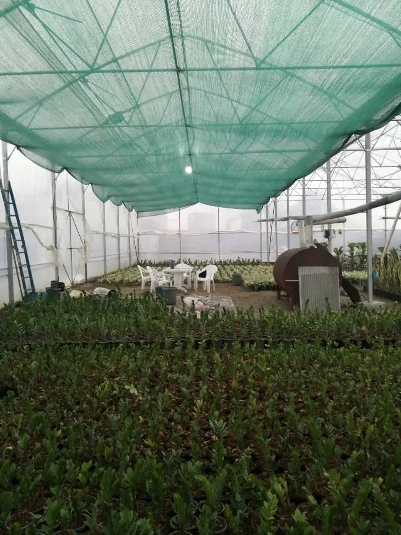 فروش توری های سایبان|خدمات پیشه و مهارت|ری, بازار گل خاوران|دیوار