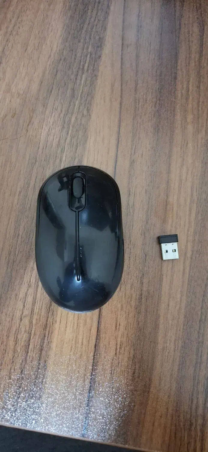 ماوس بی سیم|قطعات و لوازم جانبی رایانه|قم, فرهنگیان و شهربانی|دیوار