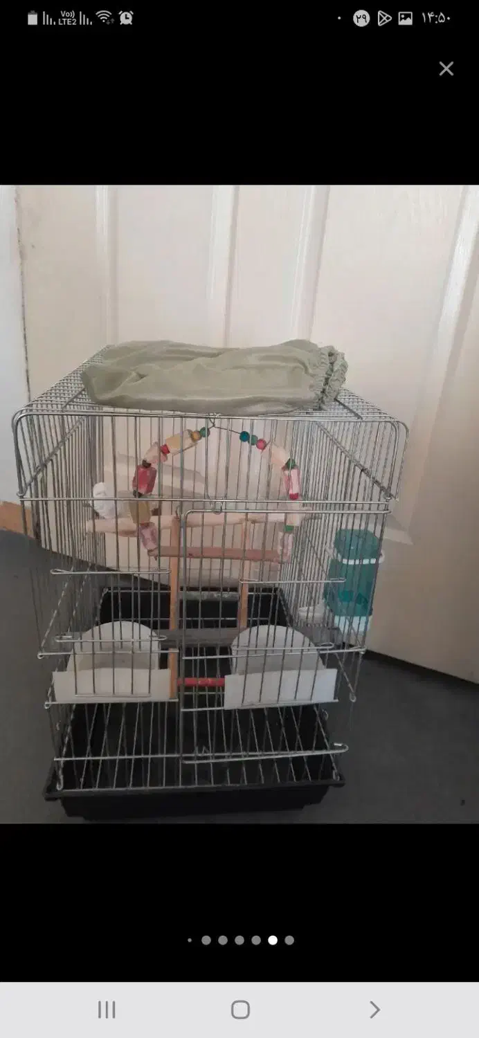 قفس پرنده|لوازم جانبی حیوانات|مشکیندشت, |دیوار