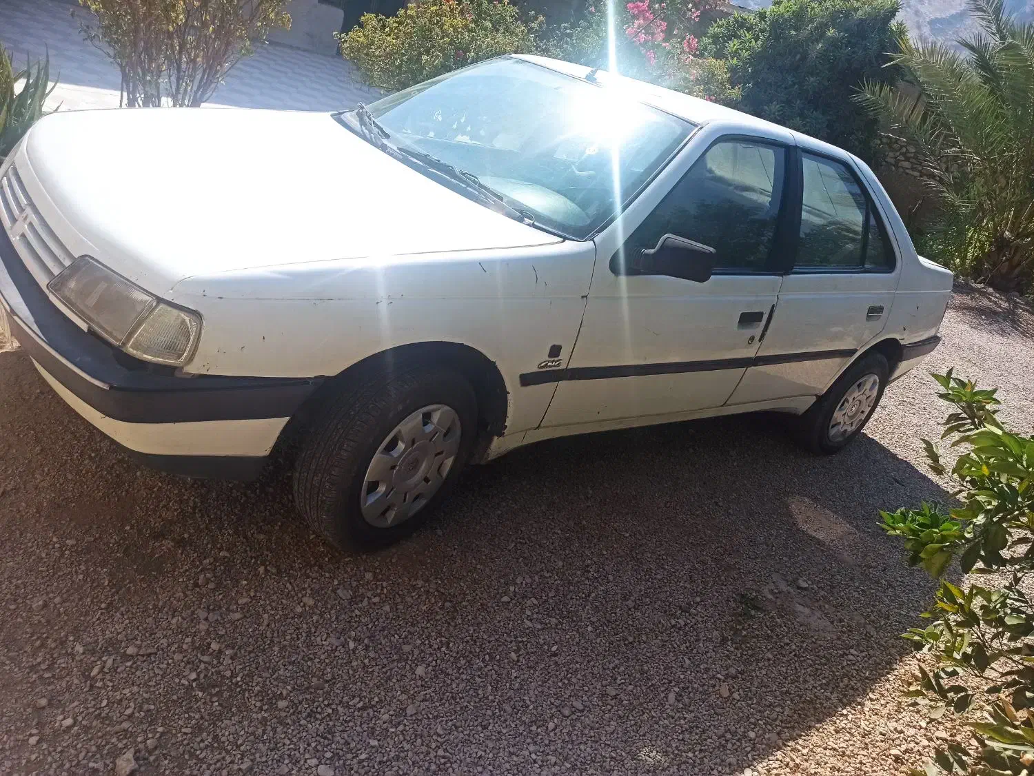 فروش پژواردی مدل83|خودرو سواری و وانت|کوه چنار, |دیوار