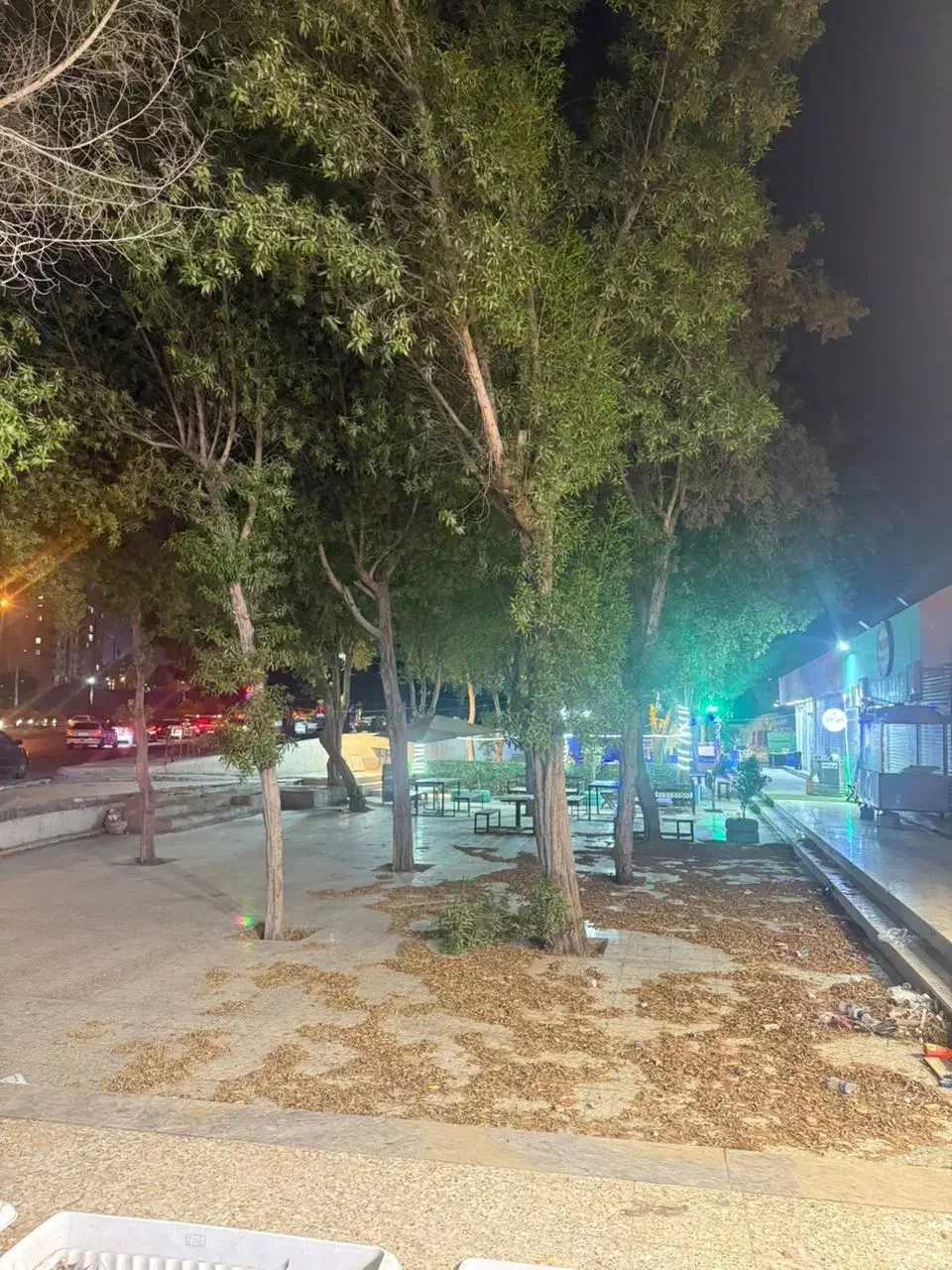 برش وقطعوهرس انواع درختها|خدمات باغبانی و درختکاری|فراشبند, |دیوار