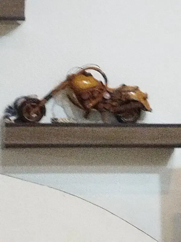 موتور چوبی|کلکسیون اشیاء عتیقه|جم, |دیوار