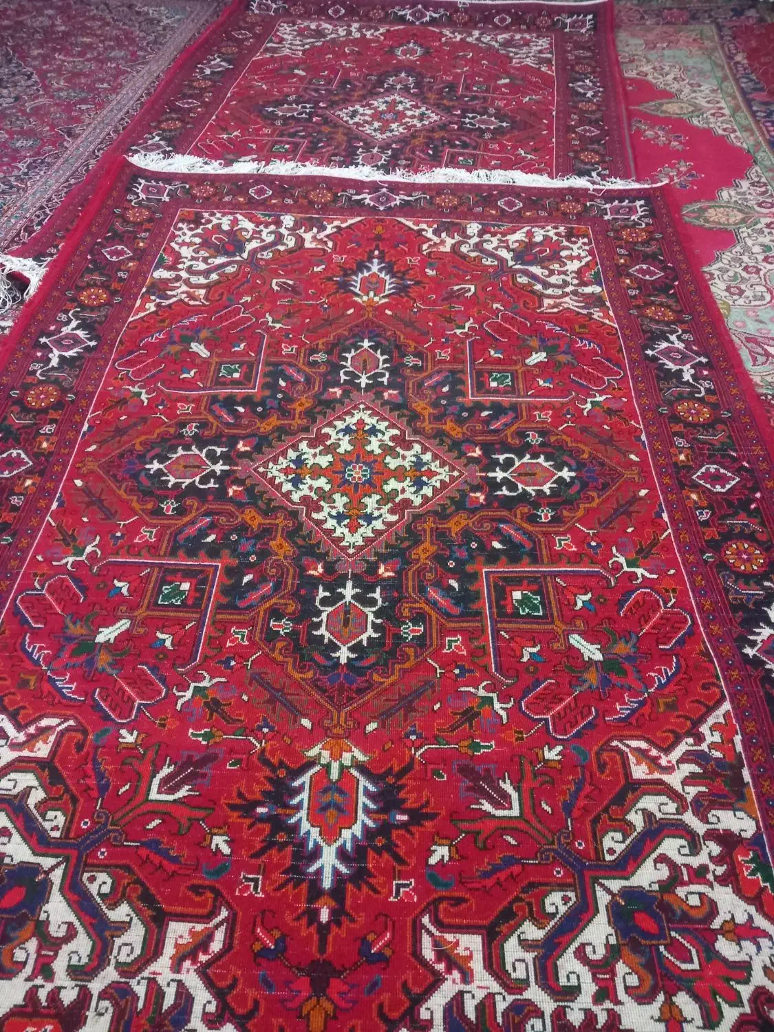 فرش هریس الوار|فرش|بناب, |دیوار