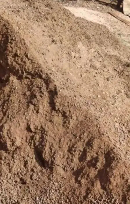 فروش کود حیوانی|لوازم جانبی حیوانات|ریگ, |دیوار