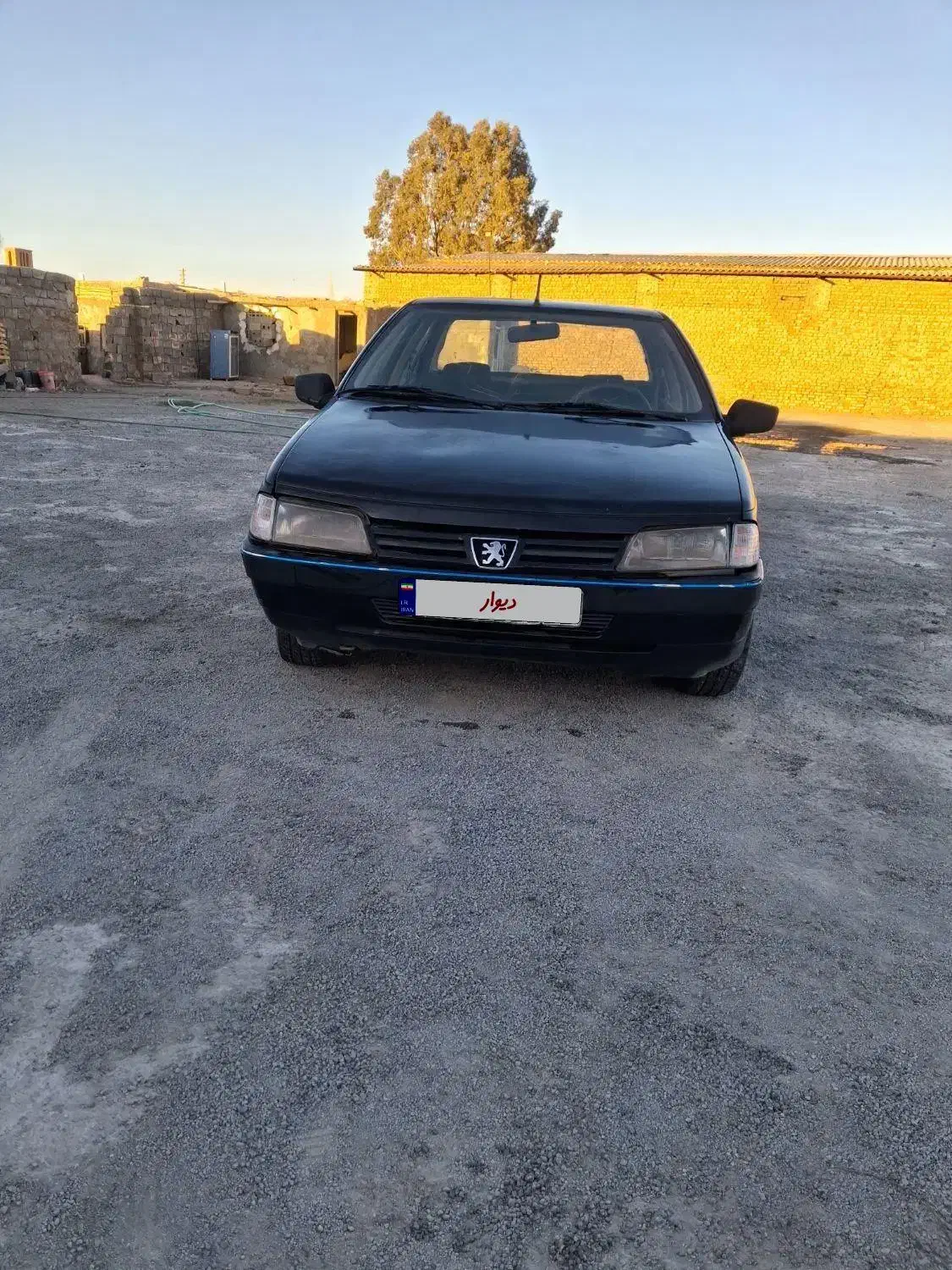 پژو|خودرو سواری و وانت|رفسنجان, |دیوار