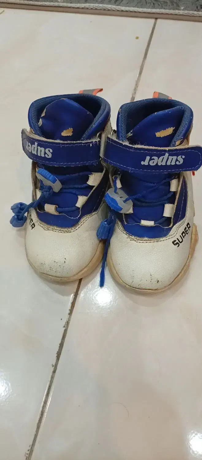 کفش|کیف، کفش، کمربند|مشهد, طبرسی شمالی|دیوار