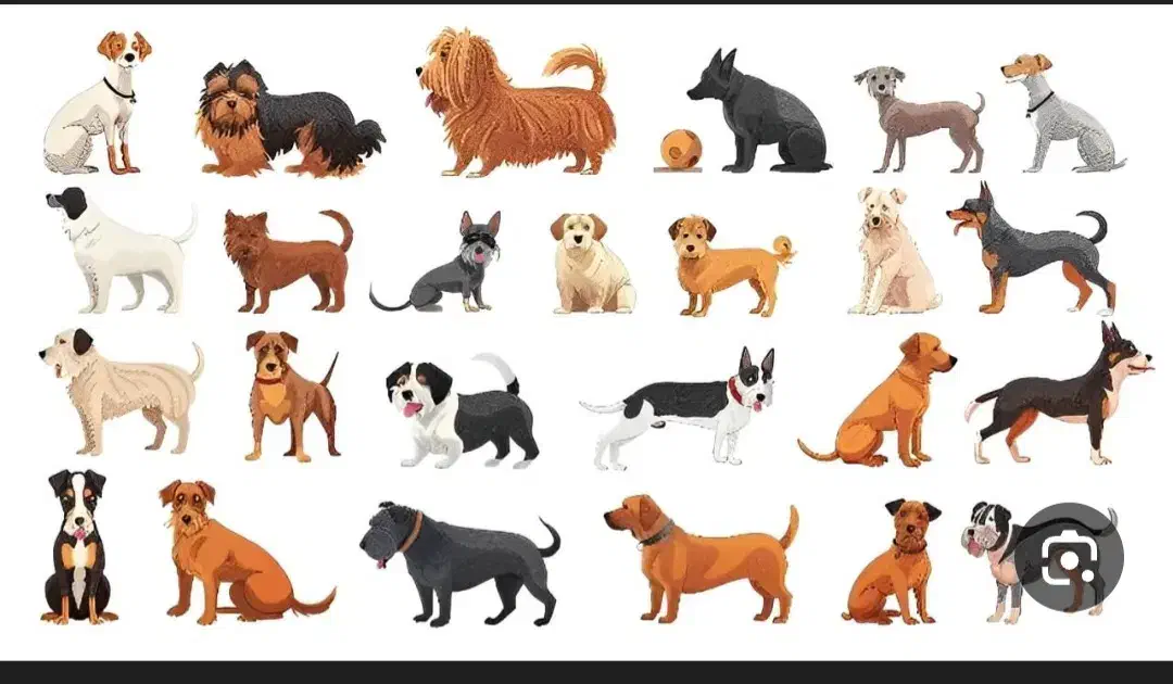 درخواست واگذاری رایگان پت (سگ)|سگ|پاکدشت, پاکدشت (مامازند)|دیوار