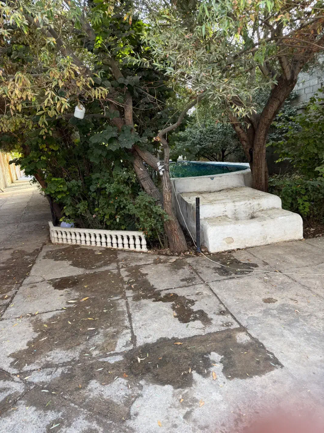 سوییت ویلا باغ مبله به صورت|اجارهٔ کوتاه‌مدت آپارتمان و سوئیت|هشتگرد, ینگی امام|دیوار