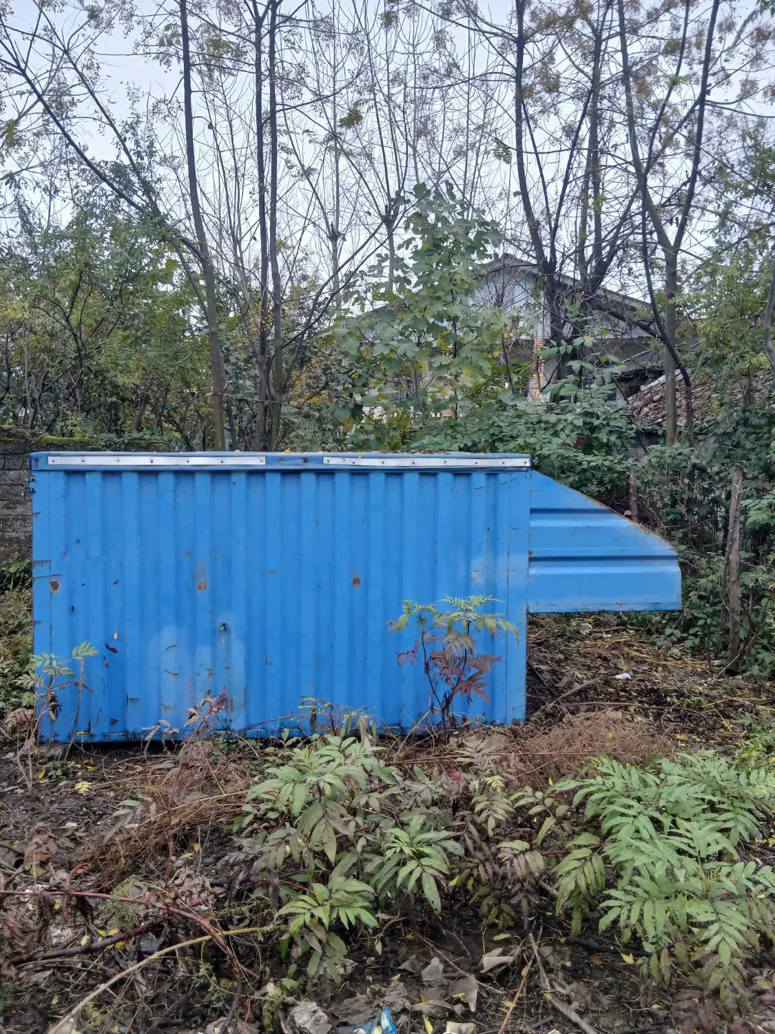 اتاق بالای نیسان سالم و تمیز|قطعات یدکی و لوازم جانبی|حویق, |دیوار