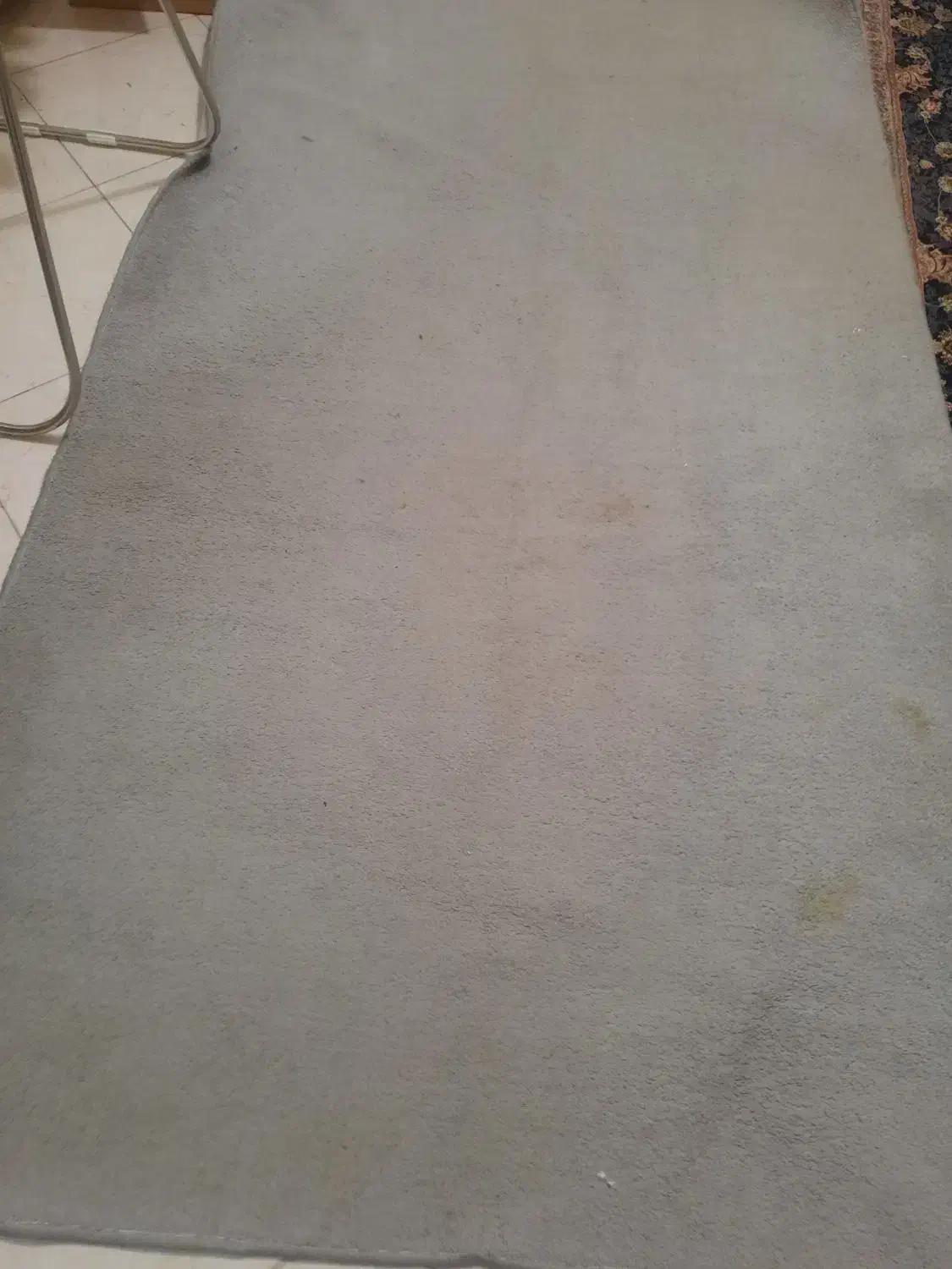 موکت ظریف در حد نو|موکت|قرچک, شهرک طلائیه|دیوار