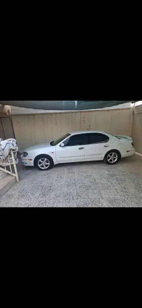 ماکسیما مدل ۹۰ رنگ سفید|خودرو سواری و وانت|شیراز, قصرالدشت|دیوار