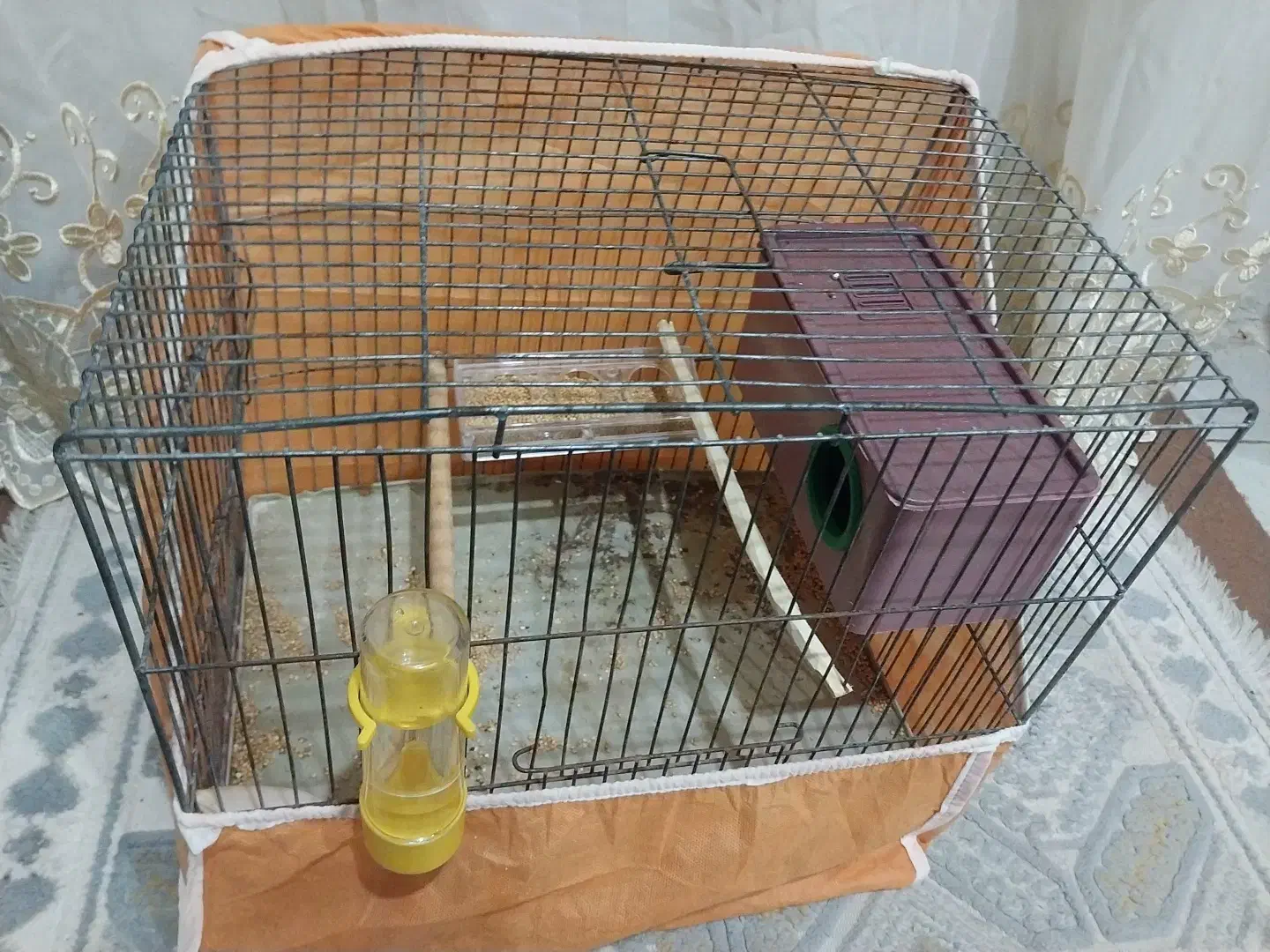 یک جفت مرغ عشق|پرنده|مبارکه, |دیوار