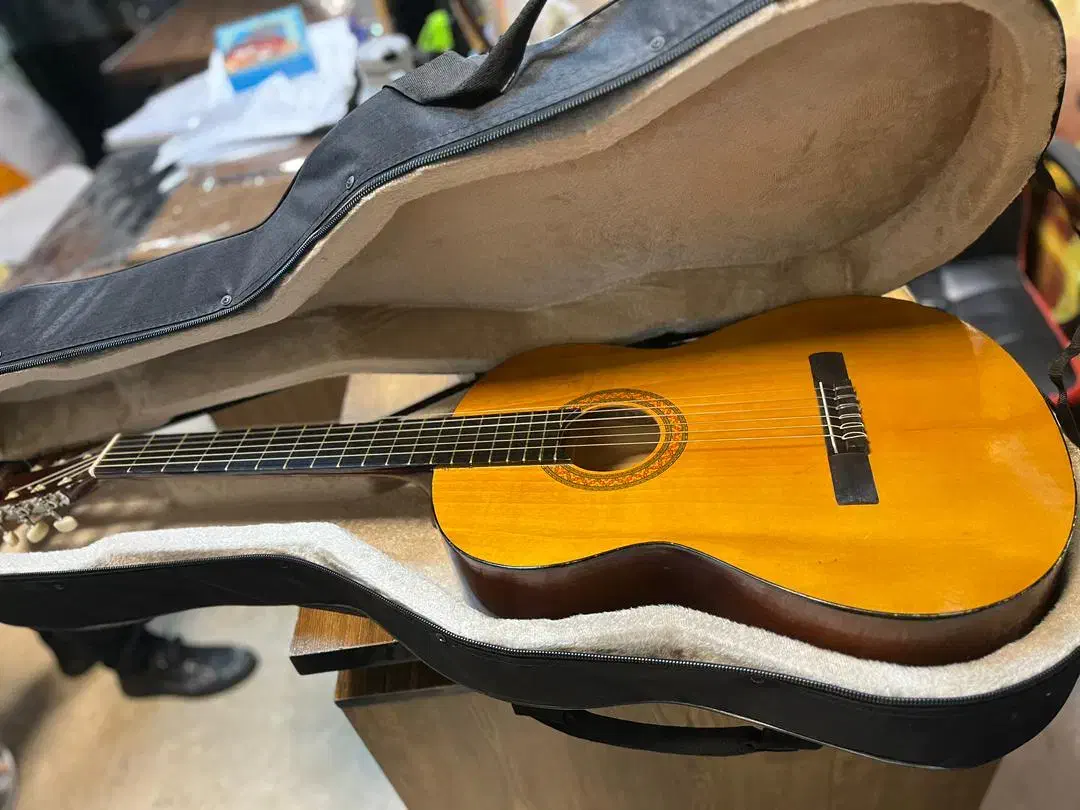 گیتار با کیف آکبند در موزیک ارژنگ|گیتار، بیس، امپلیفایر|پردیس, فاز ۳|دیوار