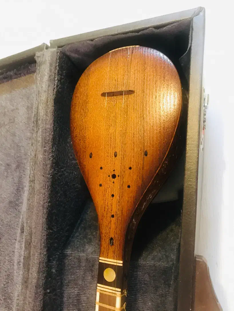 ستار کلکسیونی و کادویی|سازهای سنتی|شیراز, فرهنگ شهر|دیوار