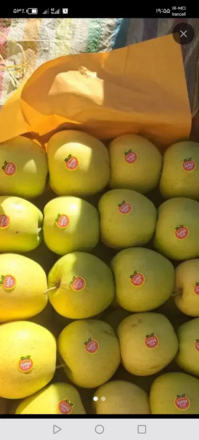 سلام کارگرلازم دارم واسه سردخانه. خودمم سرکارگرم.|استخدام صنعتی، فنی، مهندسی|پیرانشهر, |دیوار