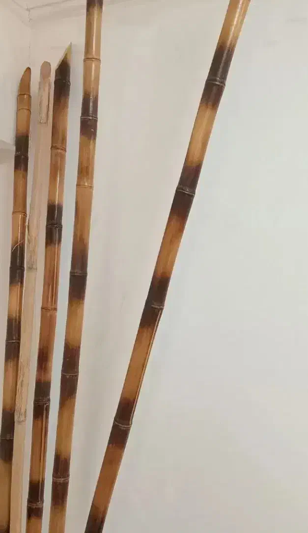 نی بامبو|گل مصنوعی|تهران, آهنگران (سراسیاب دولاب)|دیوار