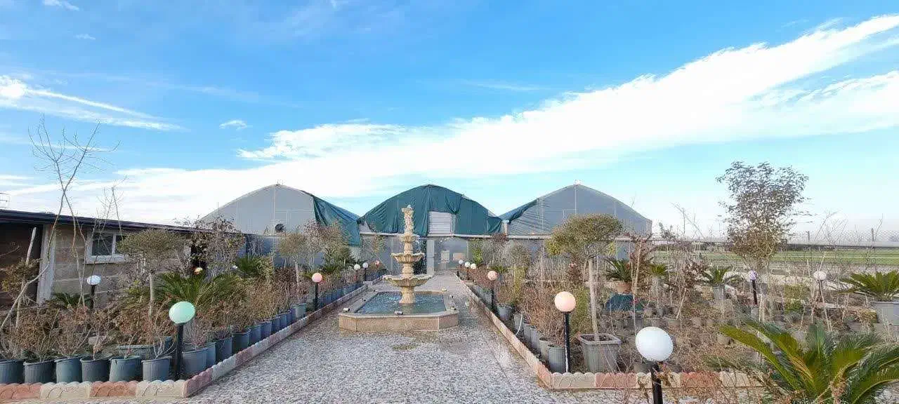 اجاره گلخانه تمام صنعتی فول امکانات|اجارهٔ دفتر صنعتی، کشاورزی، تجاری|ساری, |دیوار