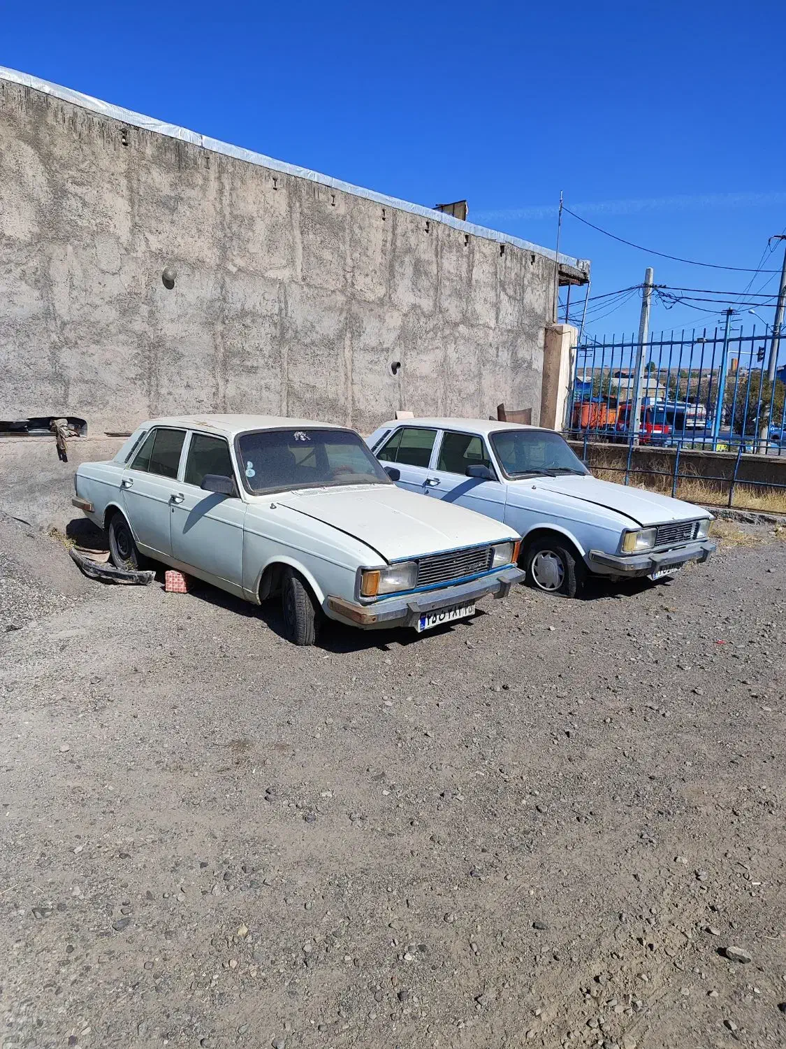 فروش دو عدد پیکان مدل 81|خودرو سواری و وانت|میانه, |دیوار