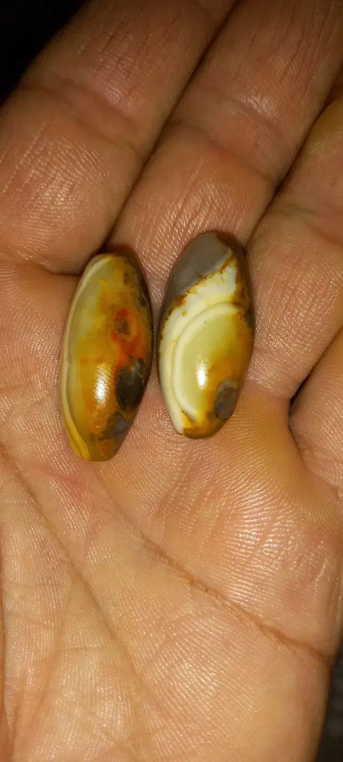 مهره سلطانی جفت|جواهرات|اهواز, منبع اب|دیوار