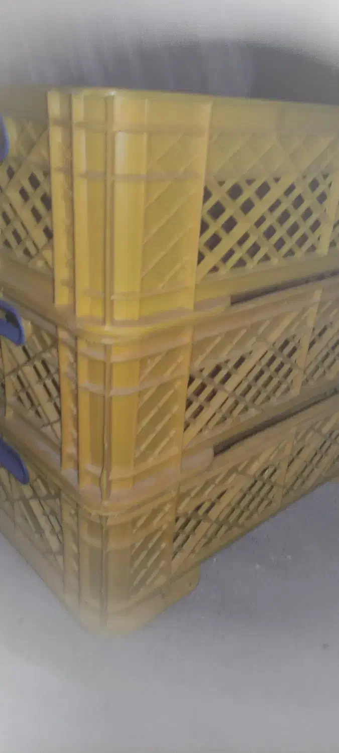 سبد|ظروف نگهدارنده، پلاستیکی، یک‌بارمصرف|بهارستان, |دیوار