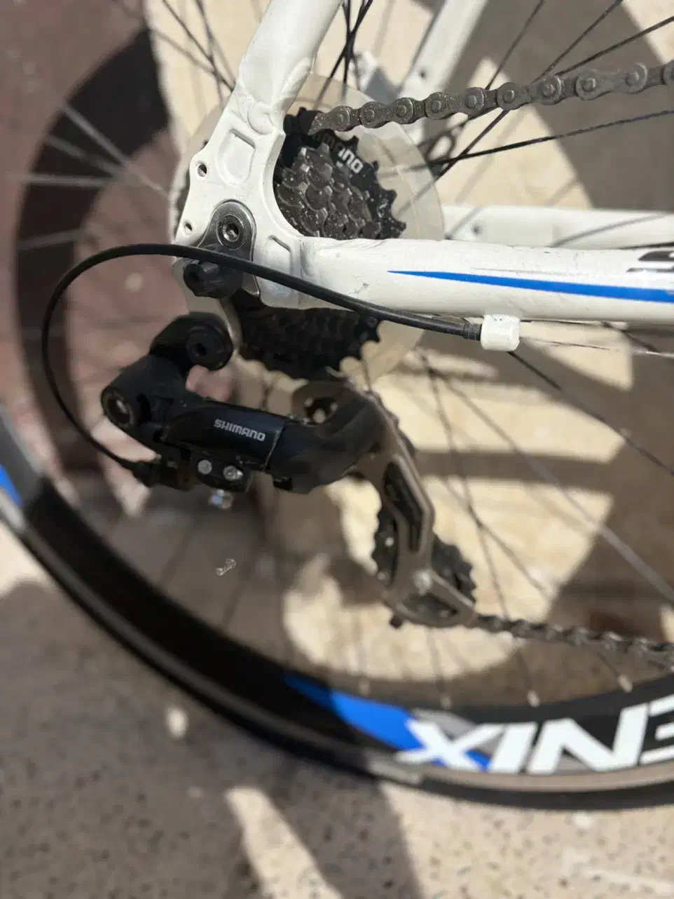 دوچرخه کورسی فونیکس|دوچرخه، اسکیت، اسکوتر|فردیس, فردیس|دیوار