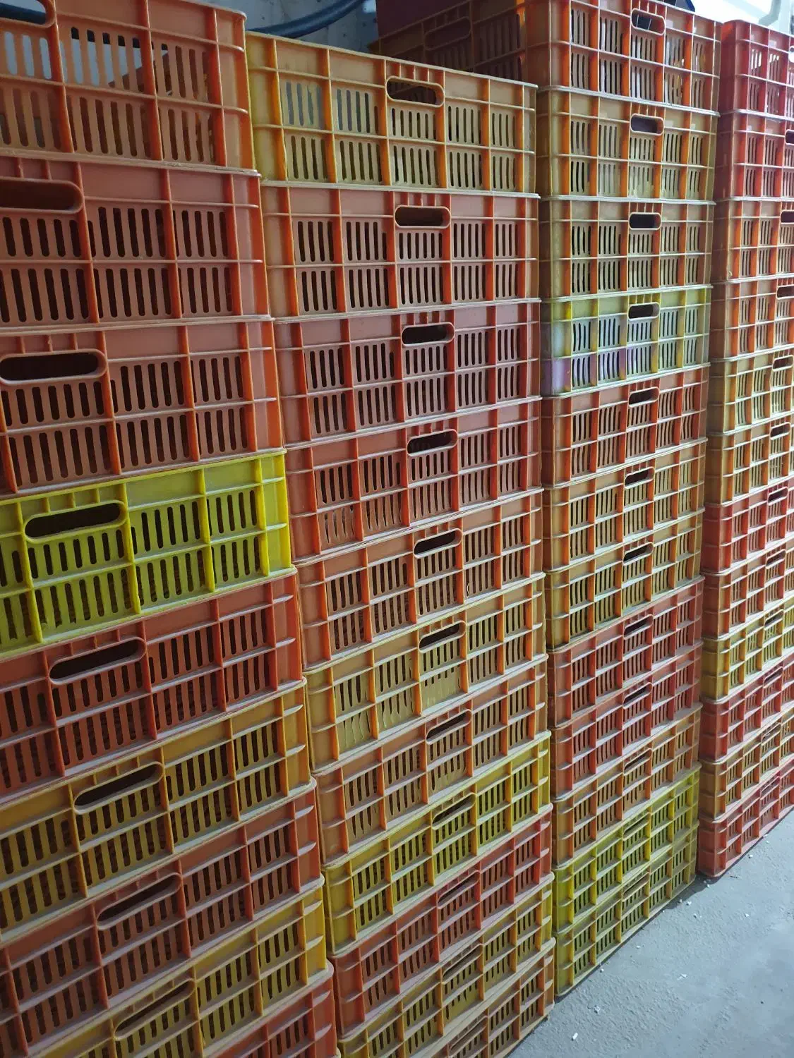 سبد شرکتی|فروشگاه و مغازه|لامرد, |دیوار