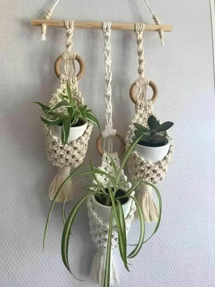 اویزگلدان|گل و گیاه طبیعی|لالی, |دیوار