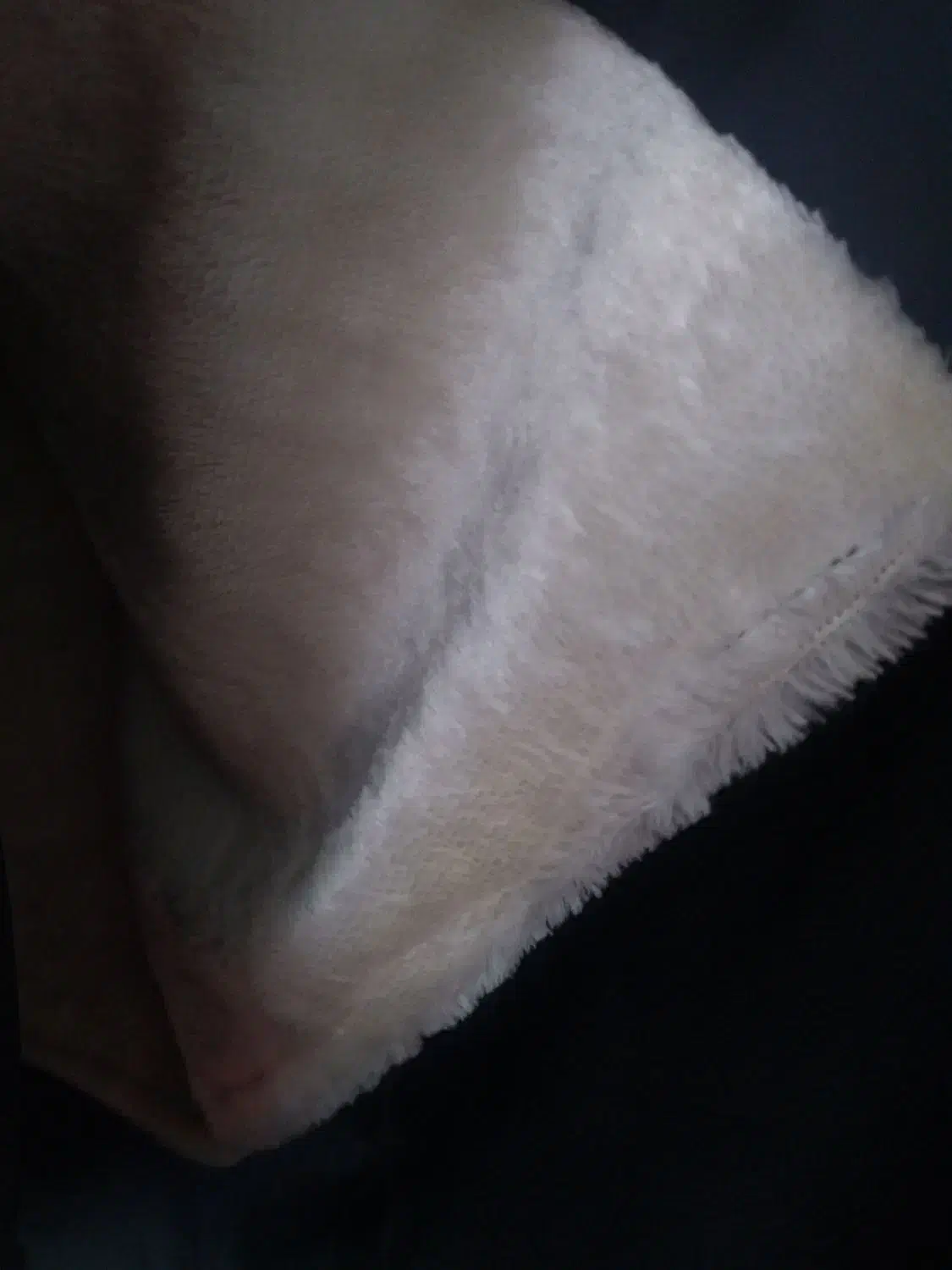 پالتو و بارانی و کاپشن و شال|لباس|تبریز, |دیوار