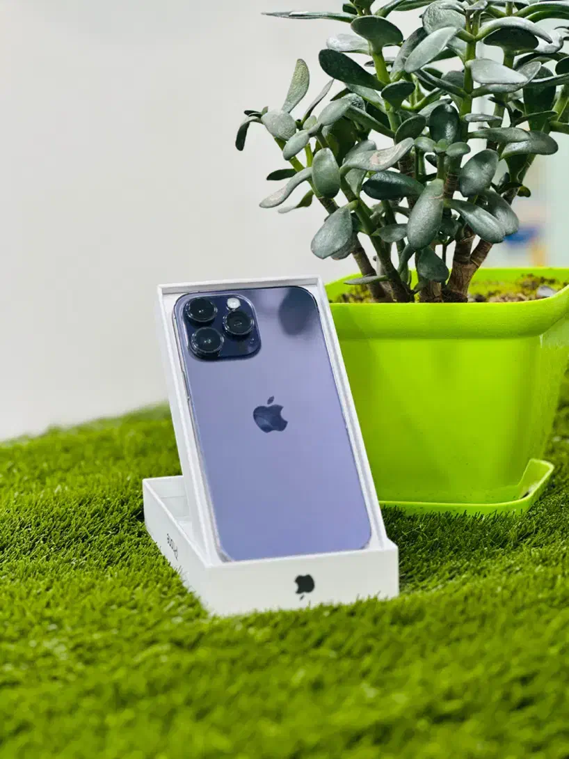 iphone 14pro max 256|موبایل|شهریار, شهریار|دیوار