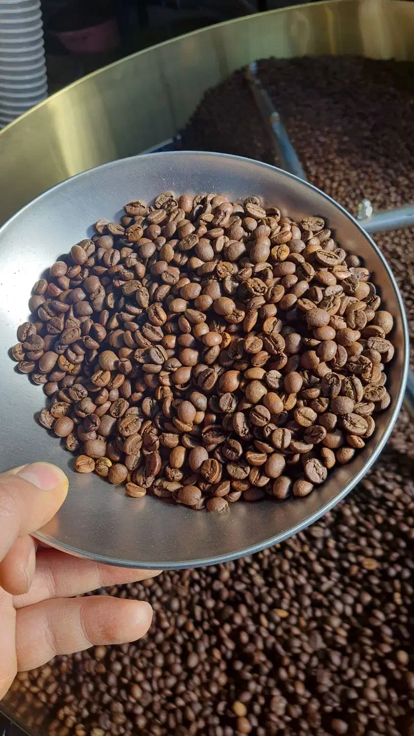 قهوه ویتنام درجه یک|کافی‌شاپ و رستوران|آستانه اشرفیه, |دیوار