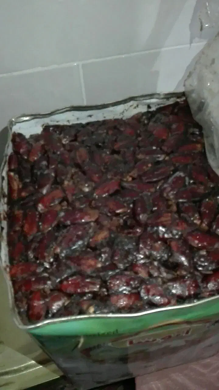 خرما شاهانی|خوردنی و آشامیدنی|سیرجان, |دیوار