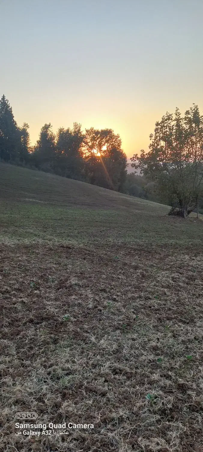 ۲ هکتار زمین دیم|فروش دفتر صنعتی، کشاورزی، تجاری|خان ببین, |دیوار