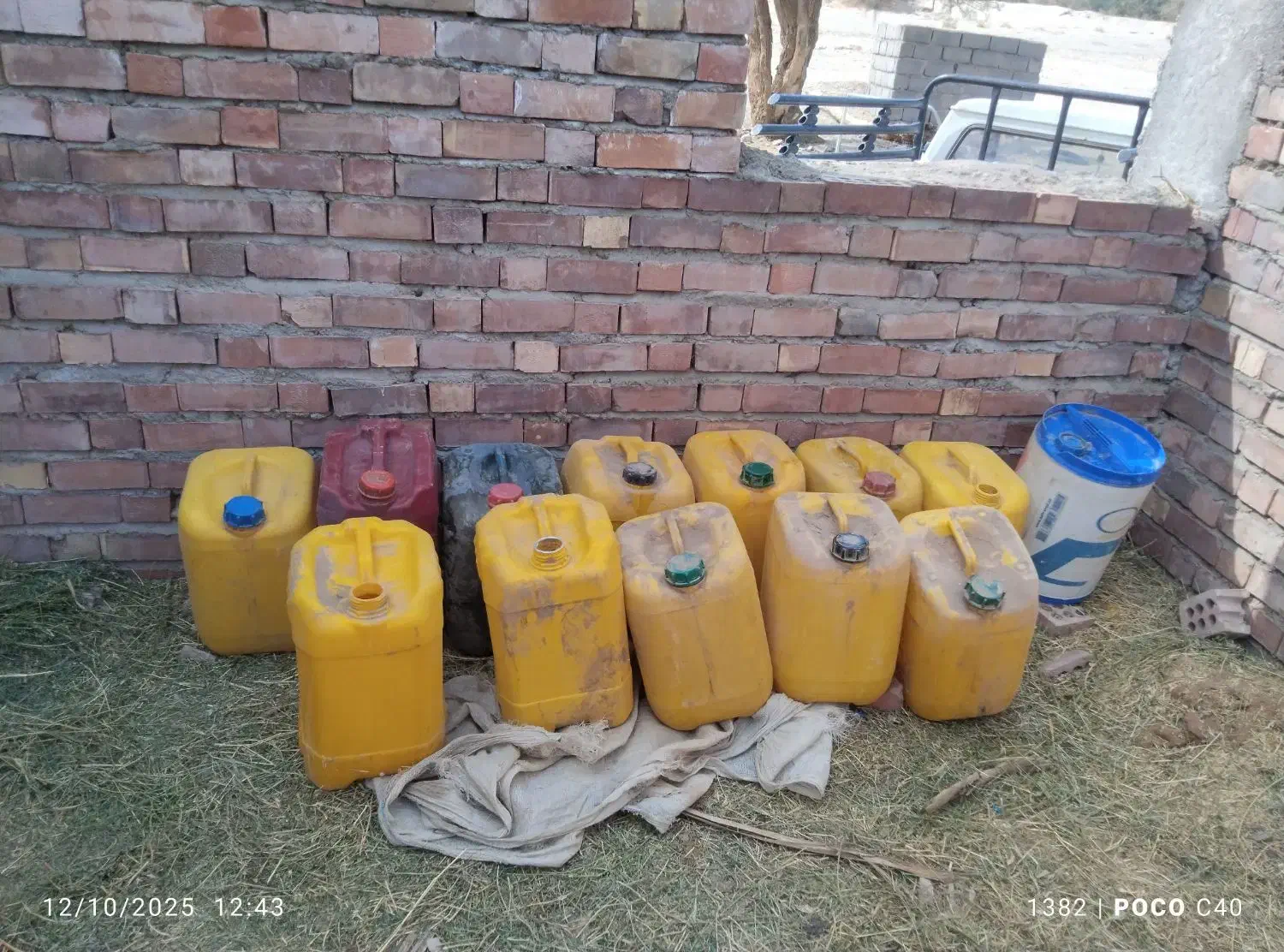 بیست لیتری خالی ریگان|ظروف نگهدارنده، پلاستیکی، یکبارمصرف|بم, |دیوار