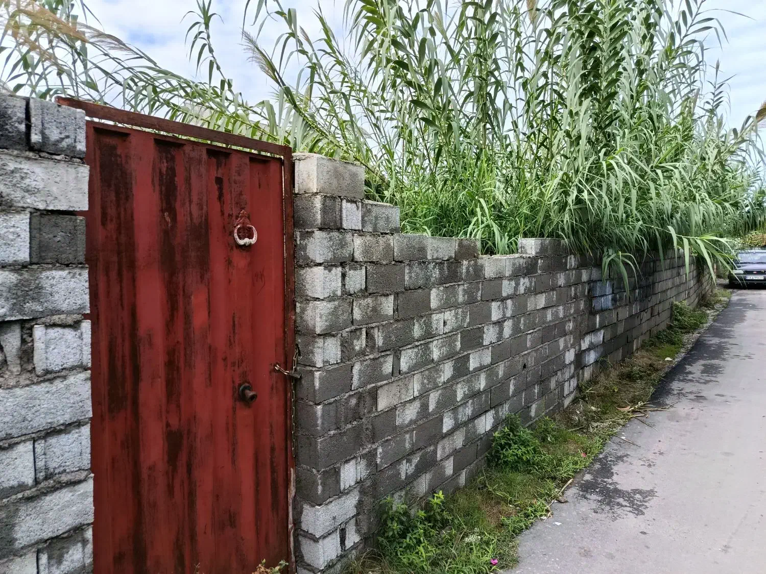 فروش زمین خشت سر ، حد فاصل محمود آباد و ایزدشهر|فروش زمین و ملک کلنگی|ایزدشهر, |دیوار