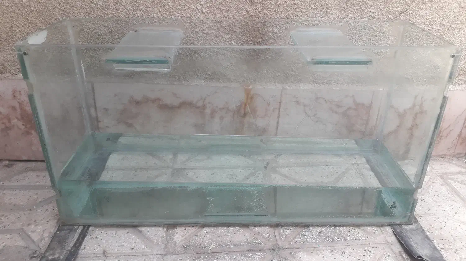 آگواریوم|ماهی|مشهد, شهید آوینی|دیوار