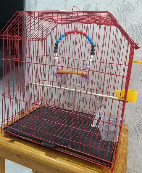 قفس|لوازم جانبی حیوانات|رشت, کوی مهر|دیوار