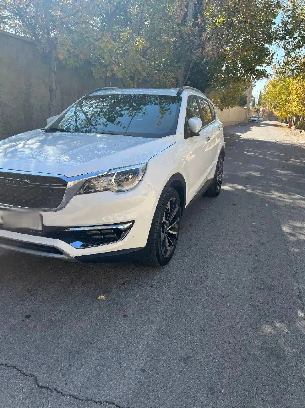 فیدیلیتی ۴۰۱ در حد صفر|خودرو سواری و وانت|شیراز, قصرالدشت|دیوار