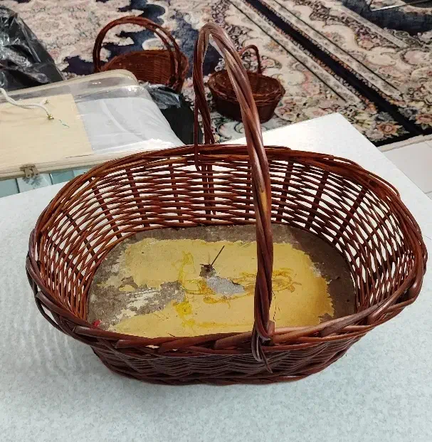 سبد میوه ، سبد شب چله ، شب یلدا، سبد یلدا|صنایع دستی و سایر لوازم تزئینی|گلبهار, شهر جدید گلبهار|دیوار