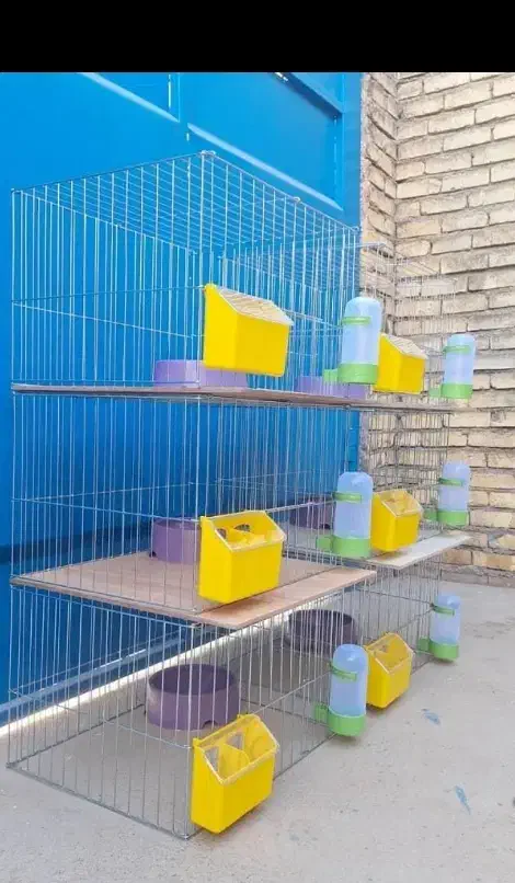 قفس پرنده کبوتر|لوازم جانبی حیوانات|اصفهان, ارداجی|دیوار