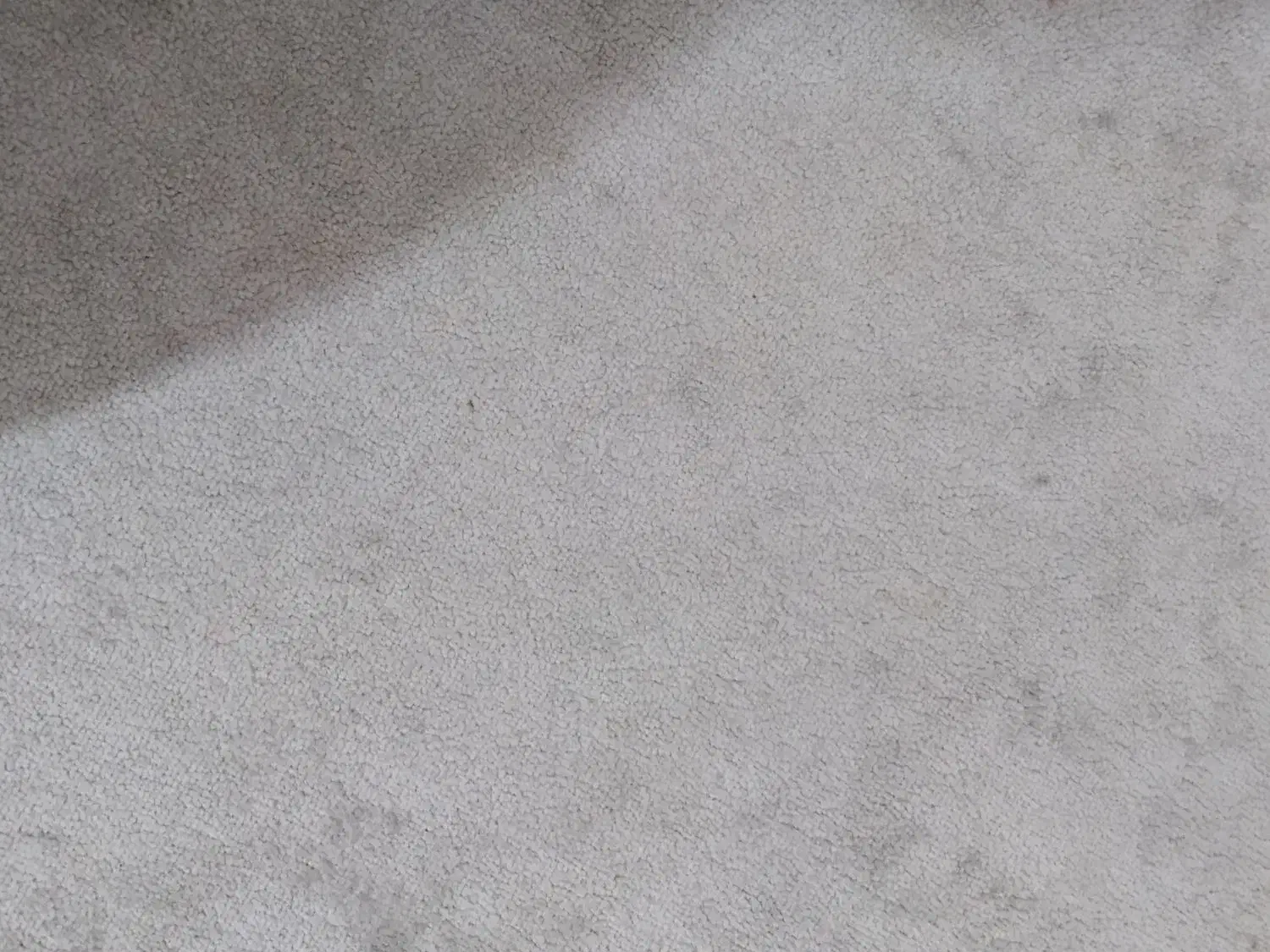 موکت پالاز|موکت|ایلام, |دیوار