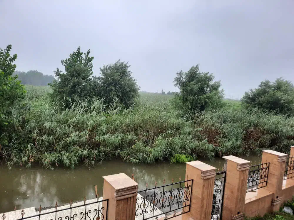 تازه ساخت مبله ‌دید به دریا زیباکنار|فروش خانه و ویلا|خشکبیجار, |دیوار