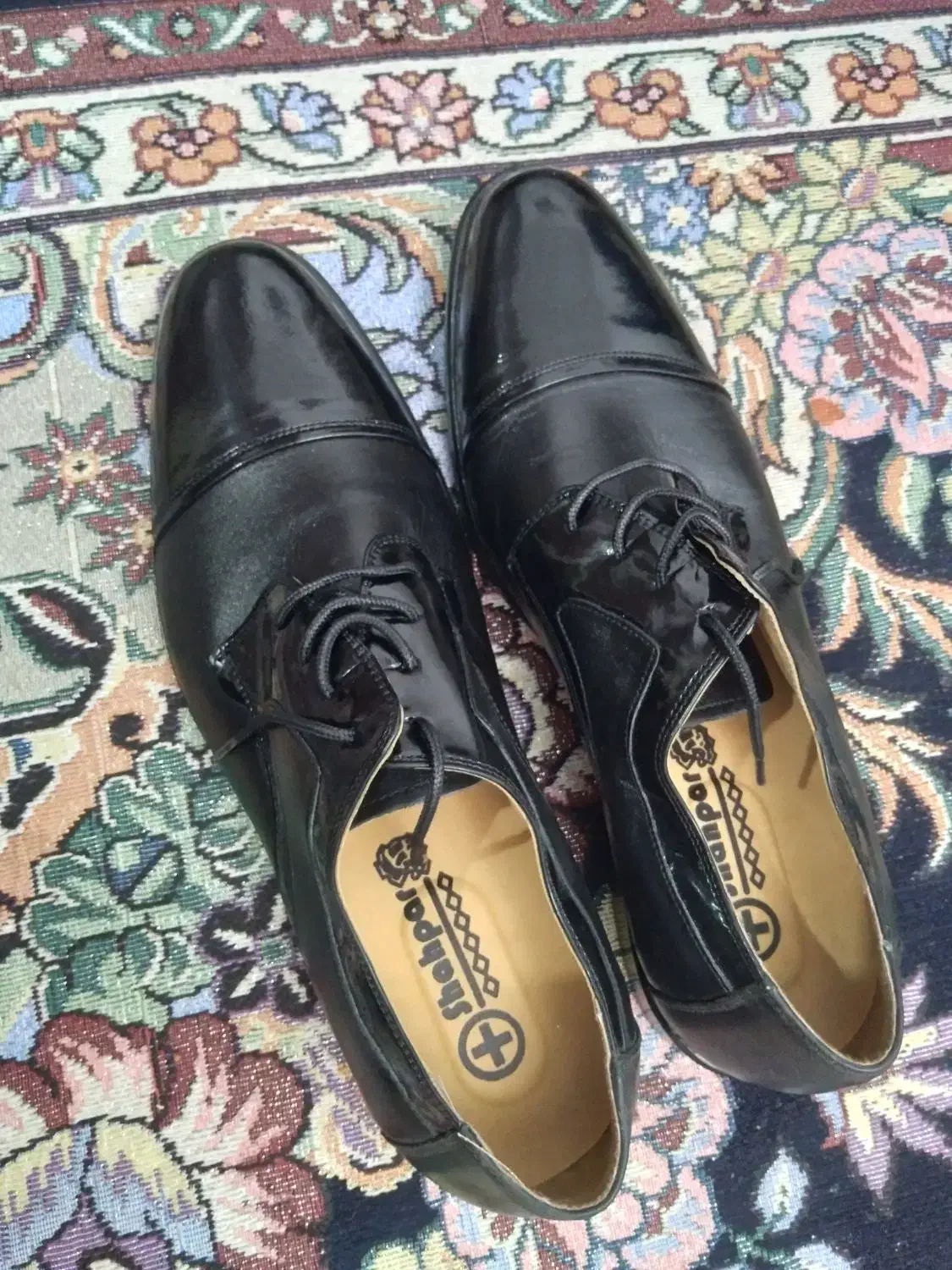 کفش. مردونه|کیف، کفش، کمربند|قم, شهر قائم|دیوار