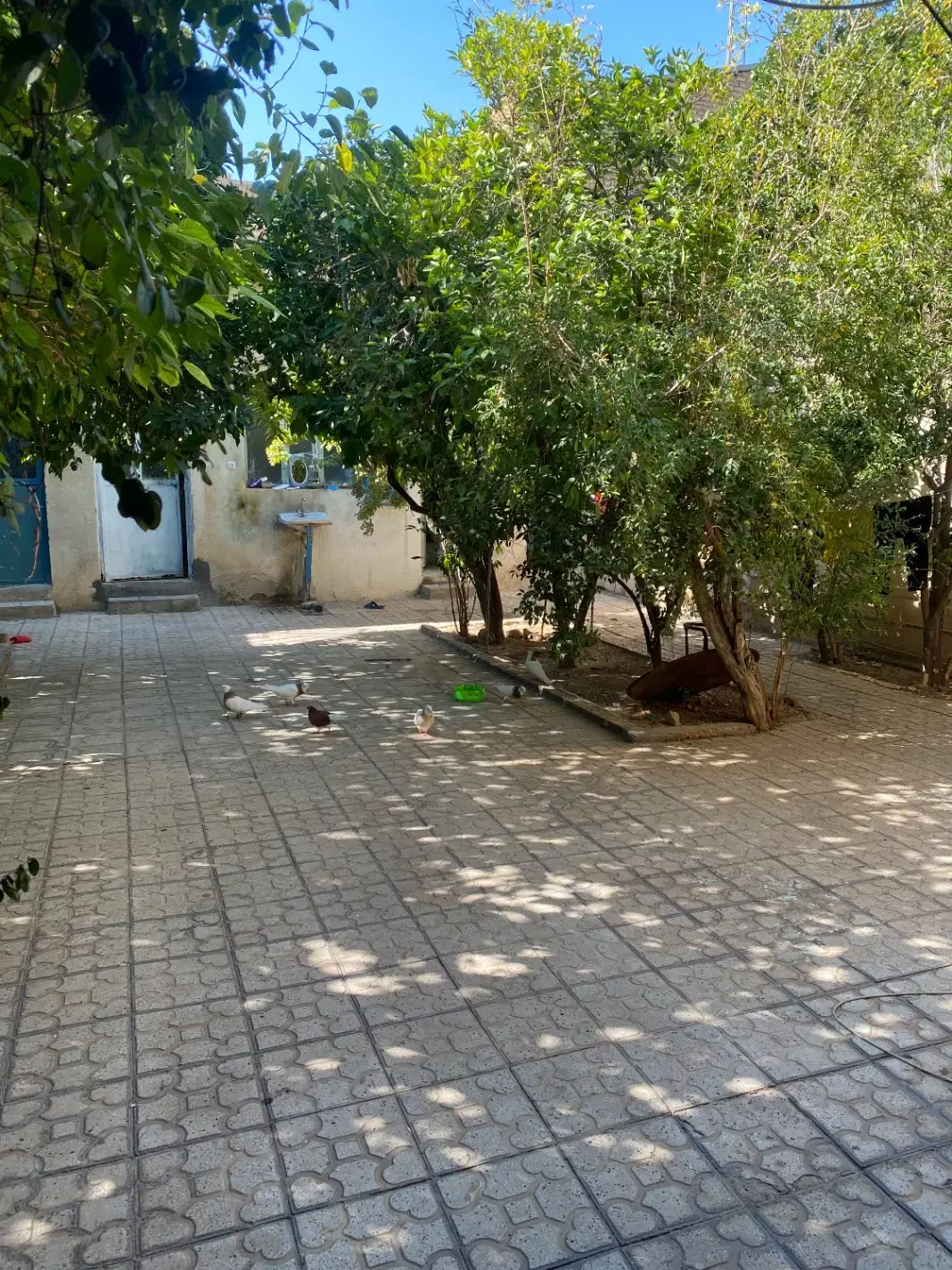 تصویر 5