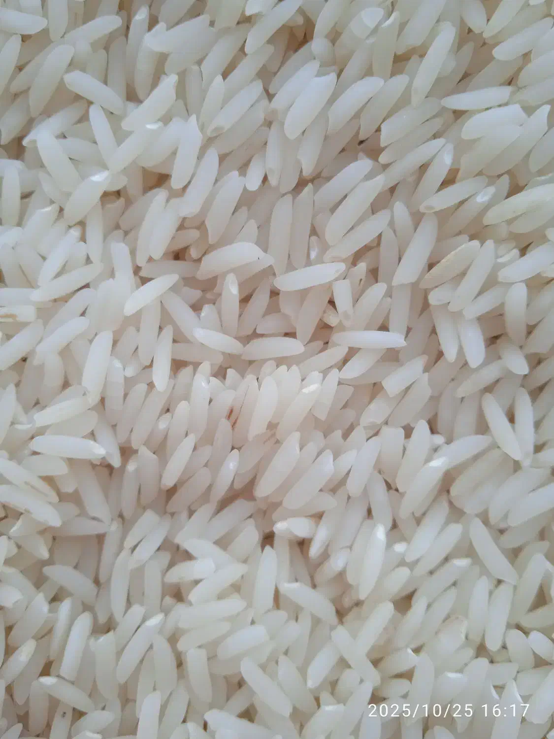 فروش برنج هاشمی اصل|خوردنی و آشامیدنی|پارسآباد, |دیوار