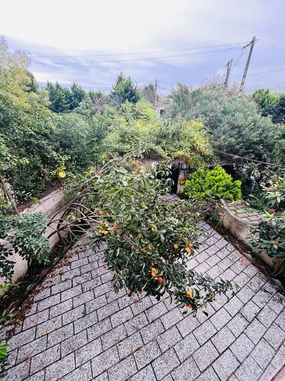 دوبلکس چند سال ساخت نزدیک شهر درختان مرکبات|فروش خانه و ویلا|امامزاده عبدالله, |دیوار