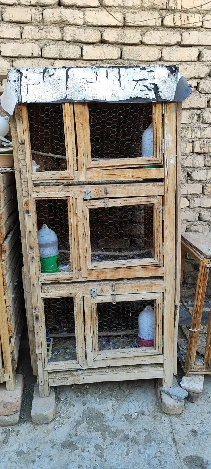 قفس جفت کن|لوازم جانبی حیوانات|گلپایگان, |دیوار